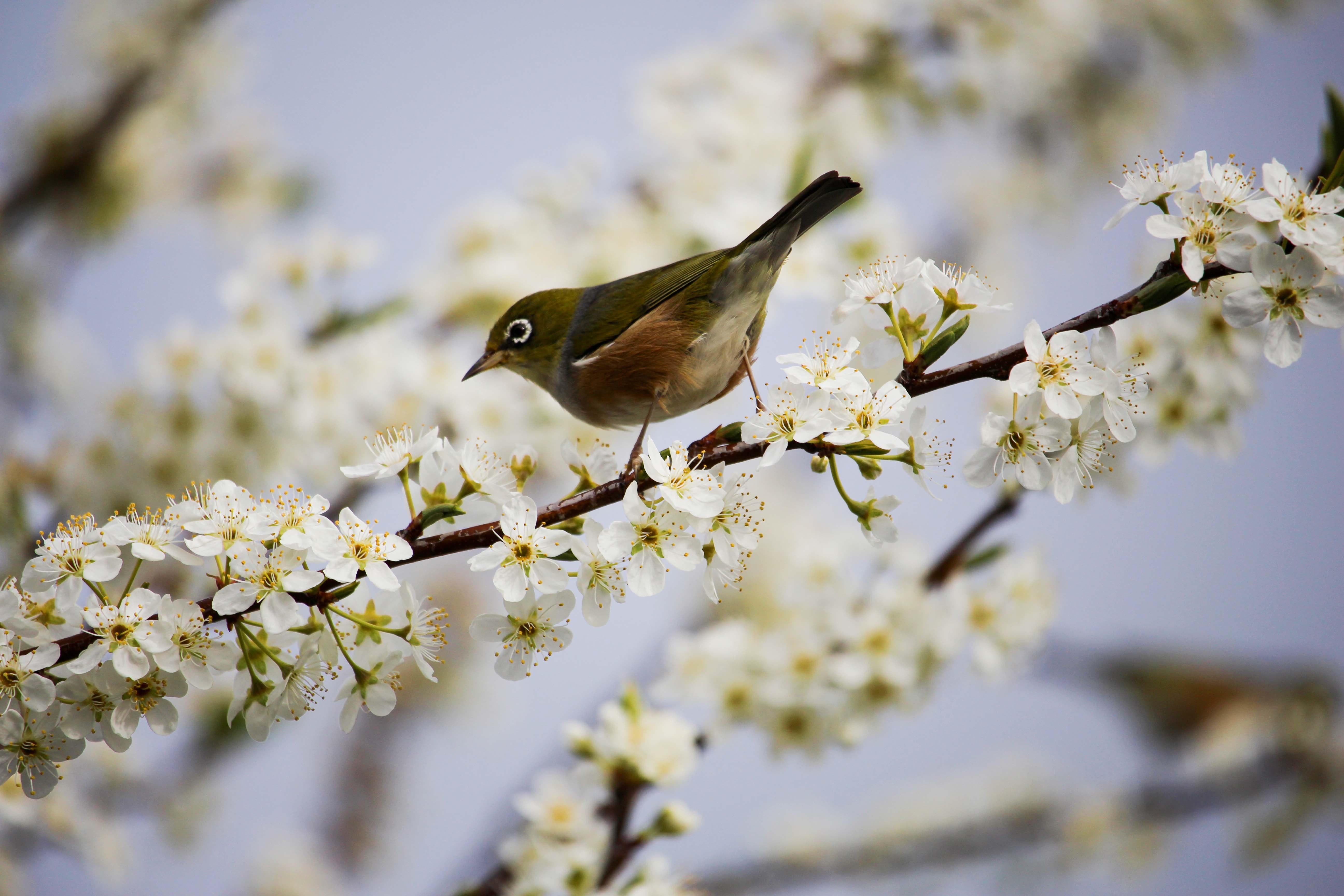 A Beginner's Guide to Spring Cleaning Your Home