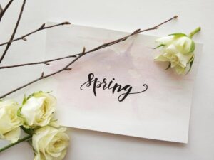8 Top Tips for Spring Cleaning 2024 by Cleanhome Sussex