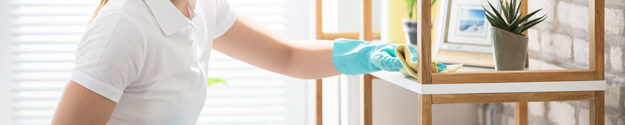 Person Cleaning Shelving Unit